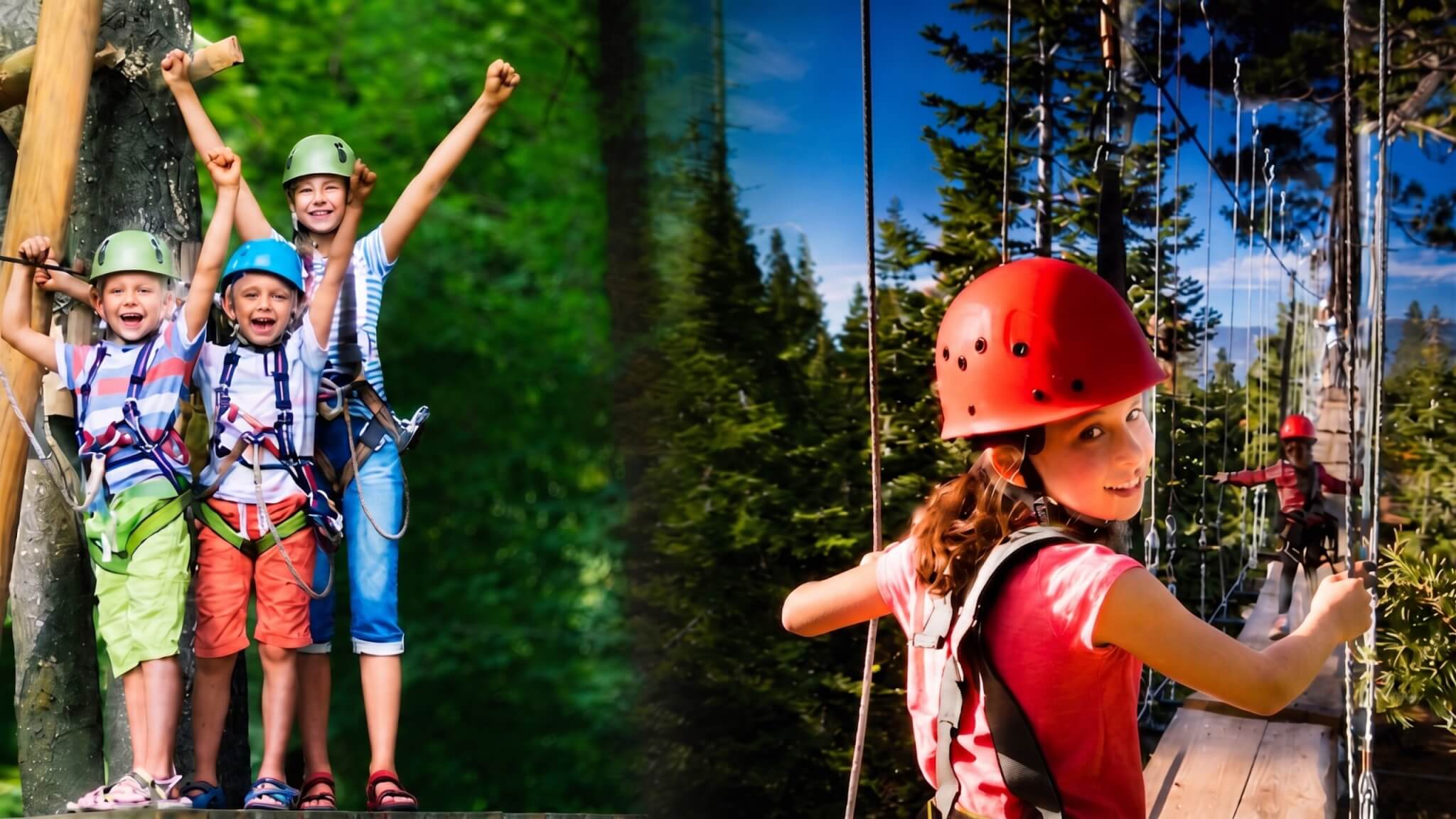 Aerial & Zipline